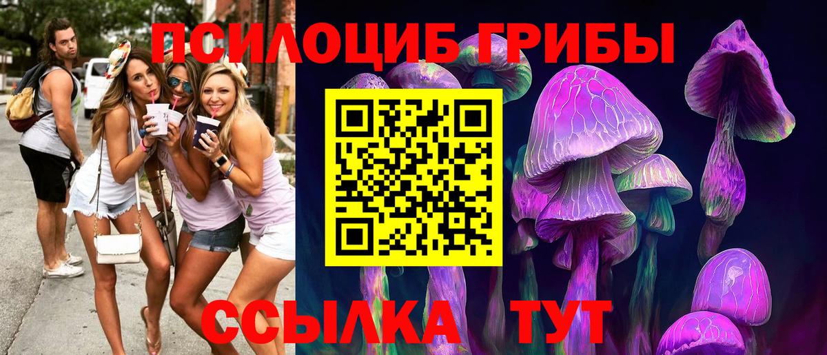 Псилоцибиновые грибы Cubensis Апатиты