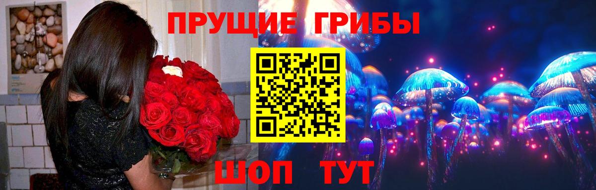 Апатиты  где купить наркоту  Вход с VPN  Галлюциногенные грибы Psilocybine cubensis 